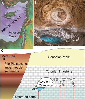 An isolated chemolithoautotrophic ecosystem deduced from environmental isotopes: Ayyalon cave (Israel)